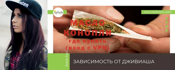 дживик Абаза