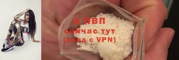 дживик Абаза