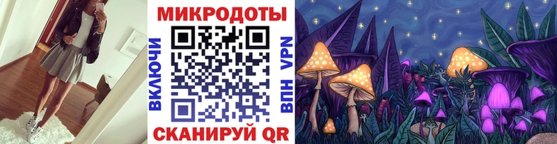 Псилоцибиновые грибы Psilocybe  Абаза 